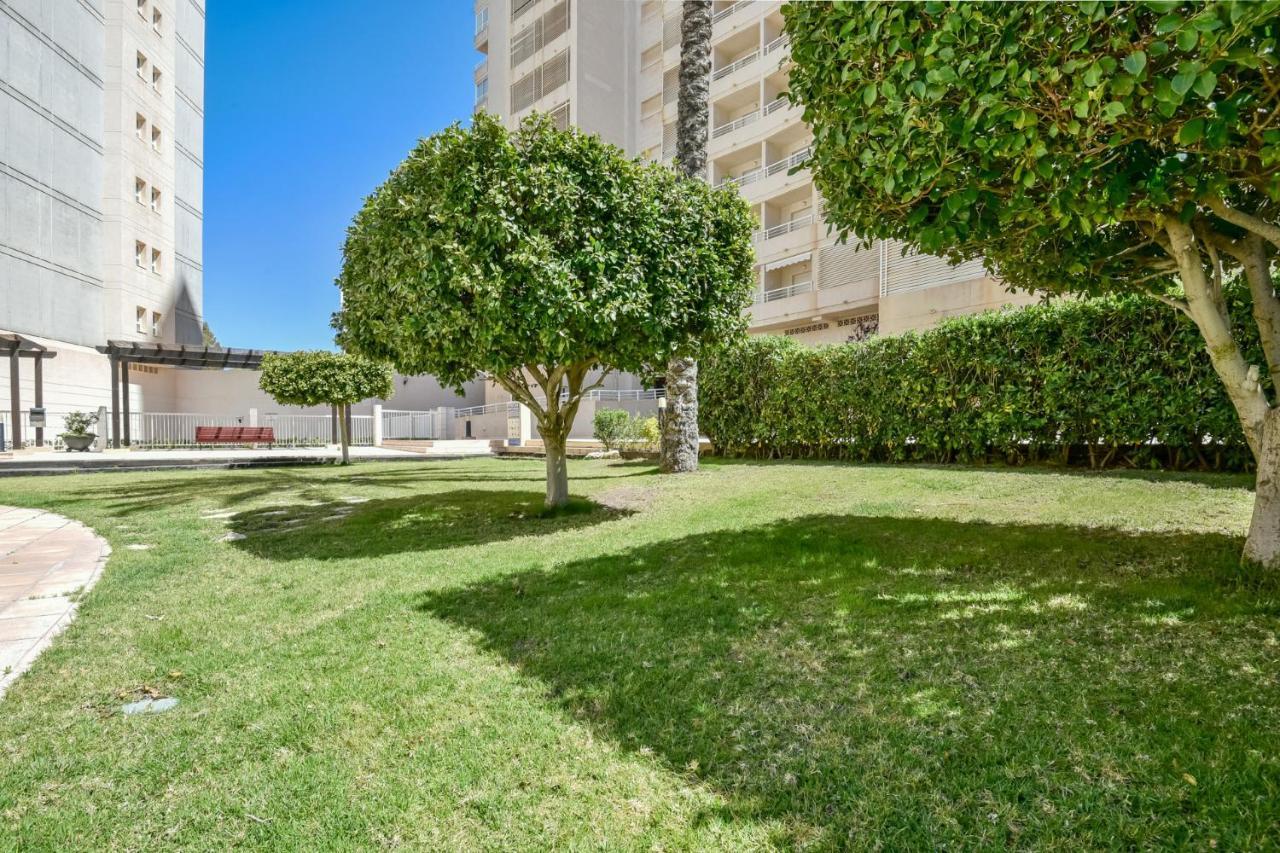 Homeincalpe Apolo XVII 1-2-5 外观 照片